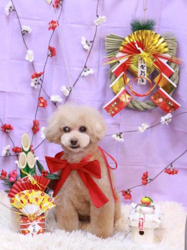 20230117HONEYちゃん